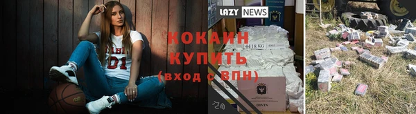 дмт Протвино