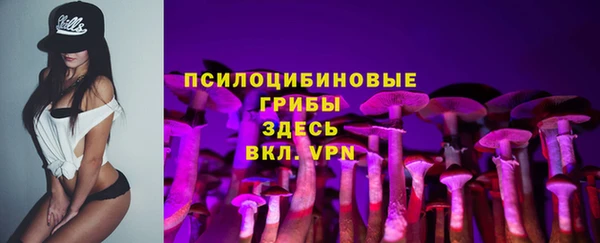 хмурый Армянск