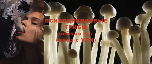 эйфоретик Аркадак