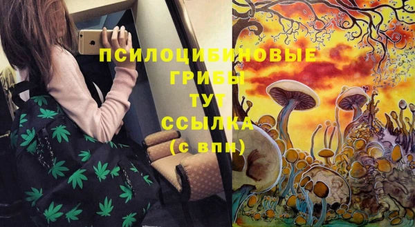 эйфоретик Аркадак