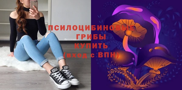 хмурый Армянск